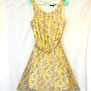 Gold, Flowing, Midi Dress, Sz 6, NWOT